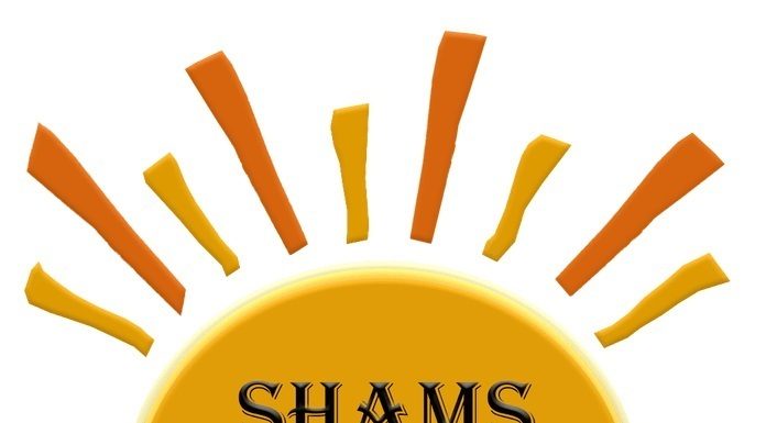 Sun-Network Internal Systems